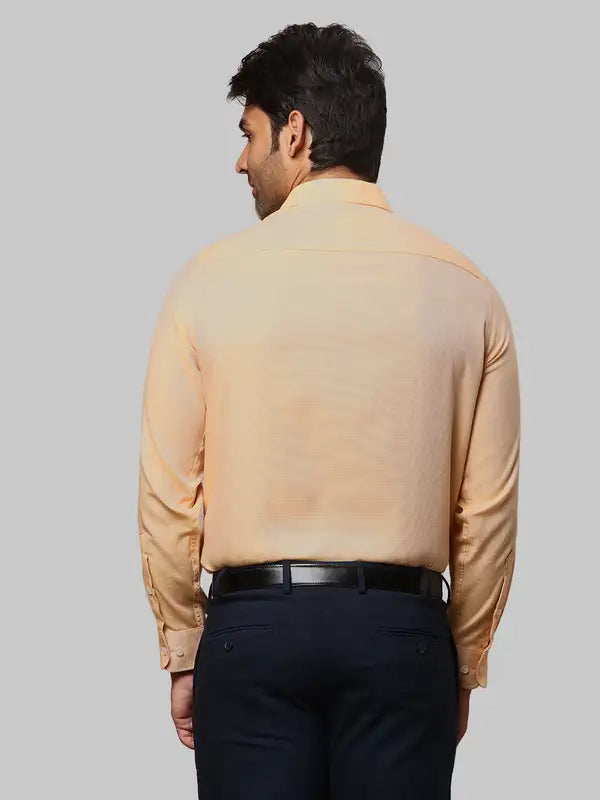 Men Regular Fit Green Shirt