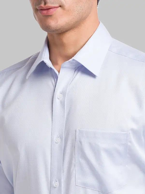 Men Regular Fit Blue Shirt