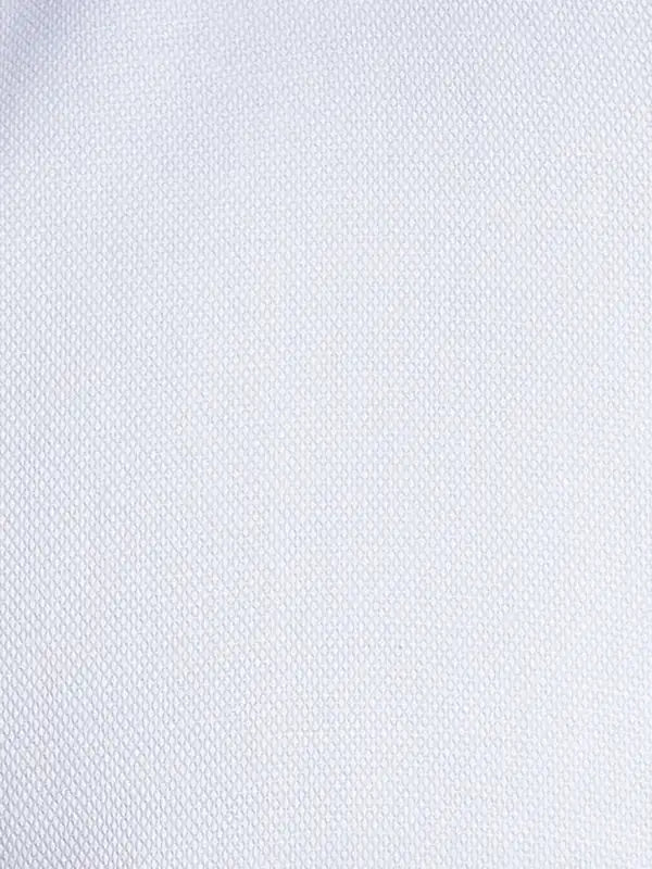 Men Regular Fit Blue Shirt