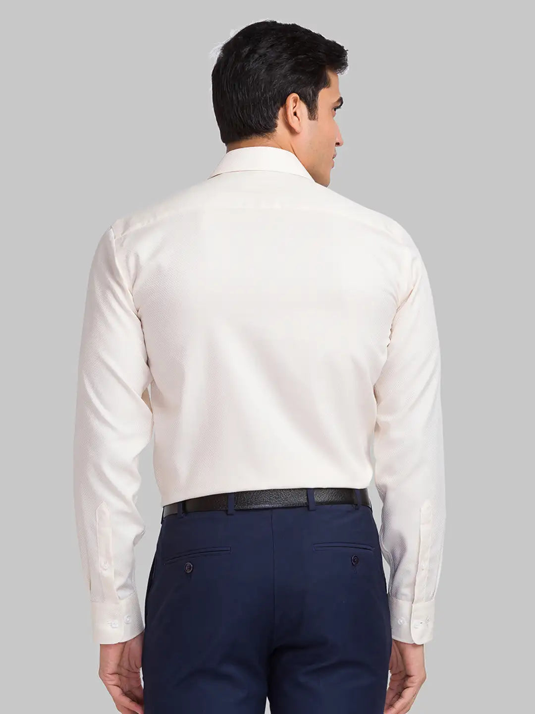 Park Avenue Men Red Structure Regular Fit Cotton Full Sleeve Shirts