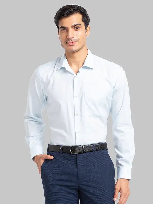 Men Regular Fit Blue Shirt