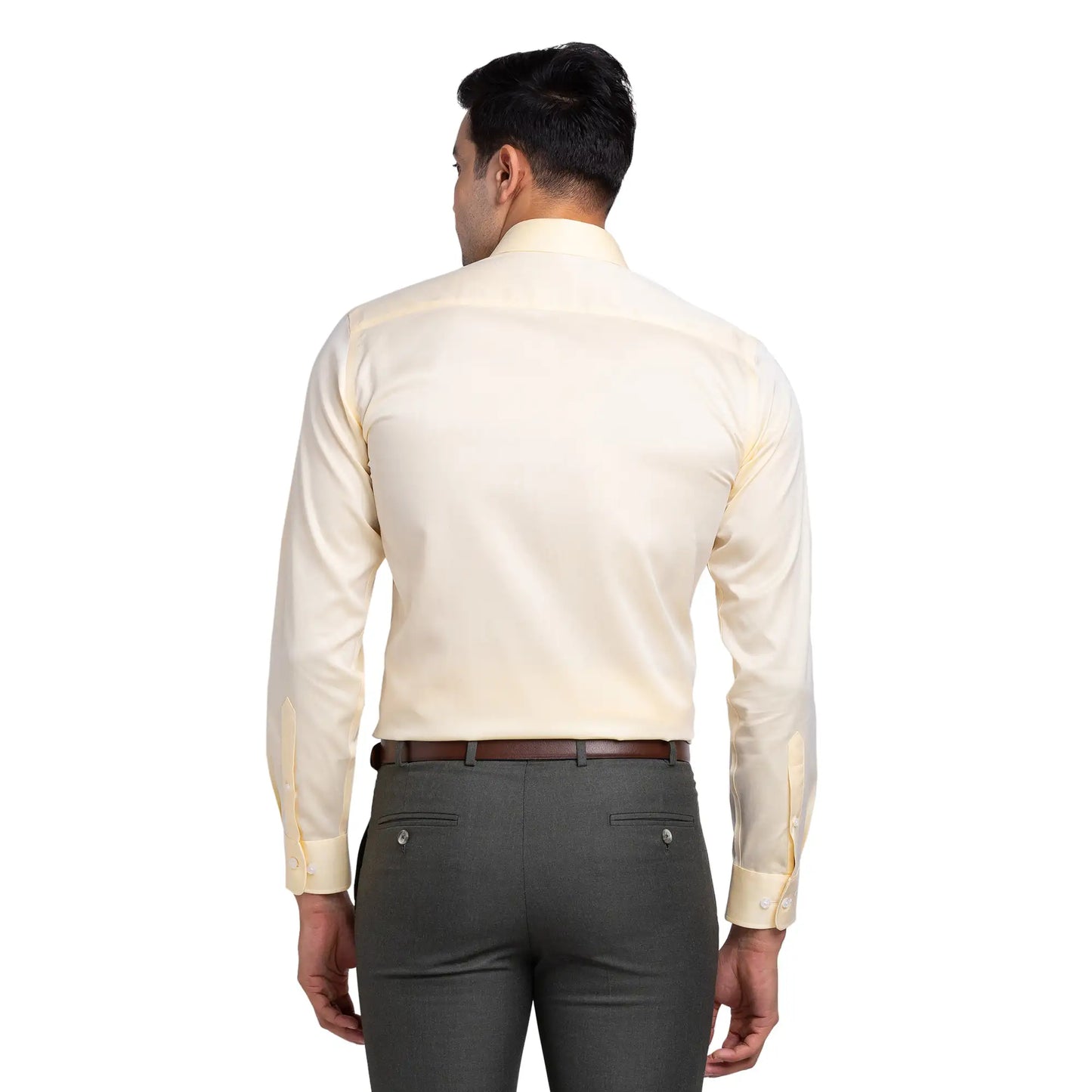 Park Avenue Men Brown Structure Regular Fit Cotton Full Sleeve Ainsley Neck Shirt