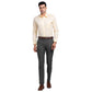 Park Avenue Men Brown Structure Regular Fit Cotton Full Sleeve Ainsley Neck Shirt