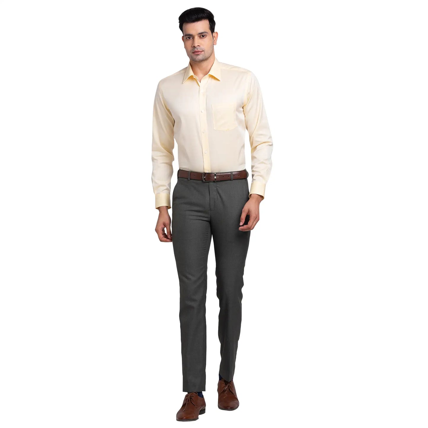 Park Avenue Men Brown Structure Regular Fit Cotton Full Sleeve Ainsley Neck Shirt