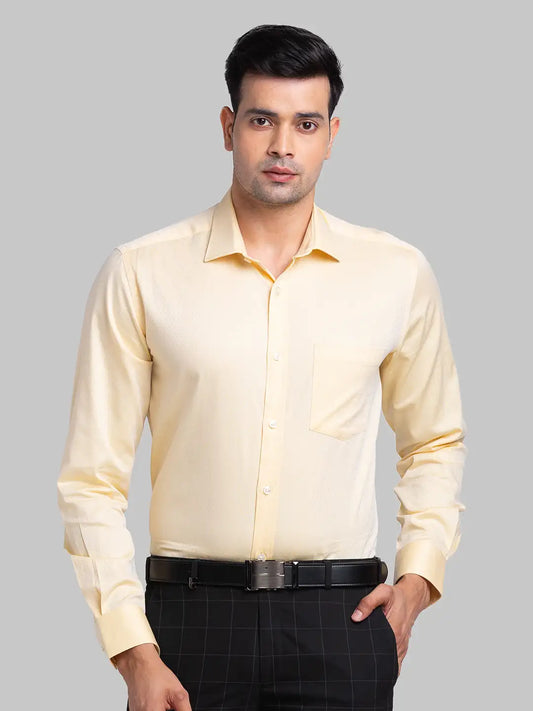 Men Regular Fit Blue Shirt