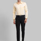 Men Regular Fit Blue Shirt