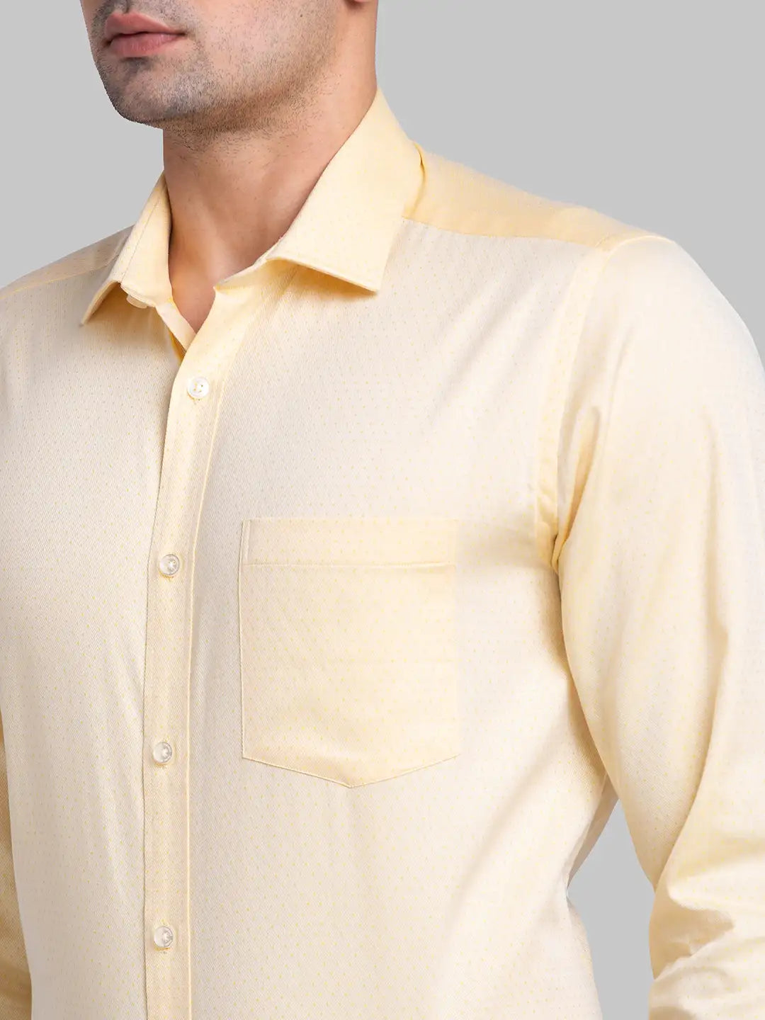 Men Regular Fit Blue Shirt