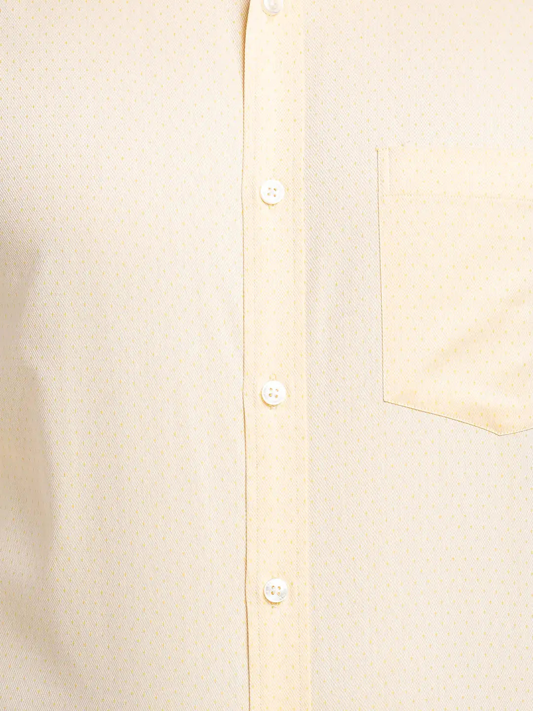 Men Regular Fit Blue Shirt