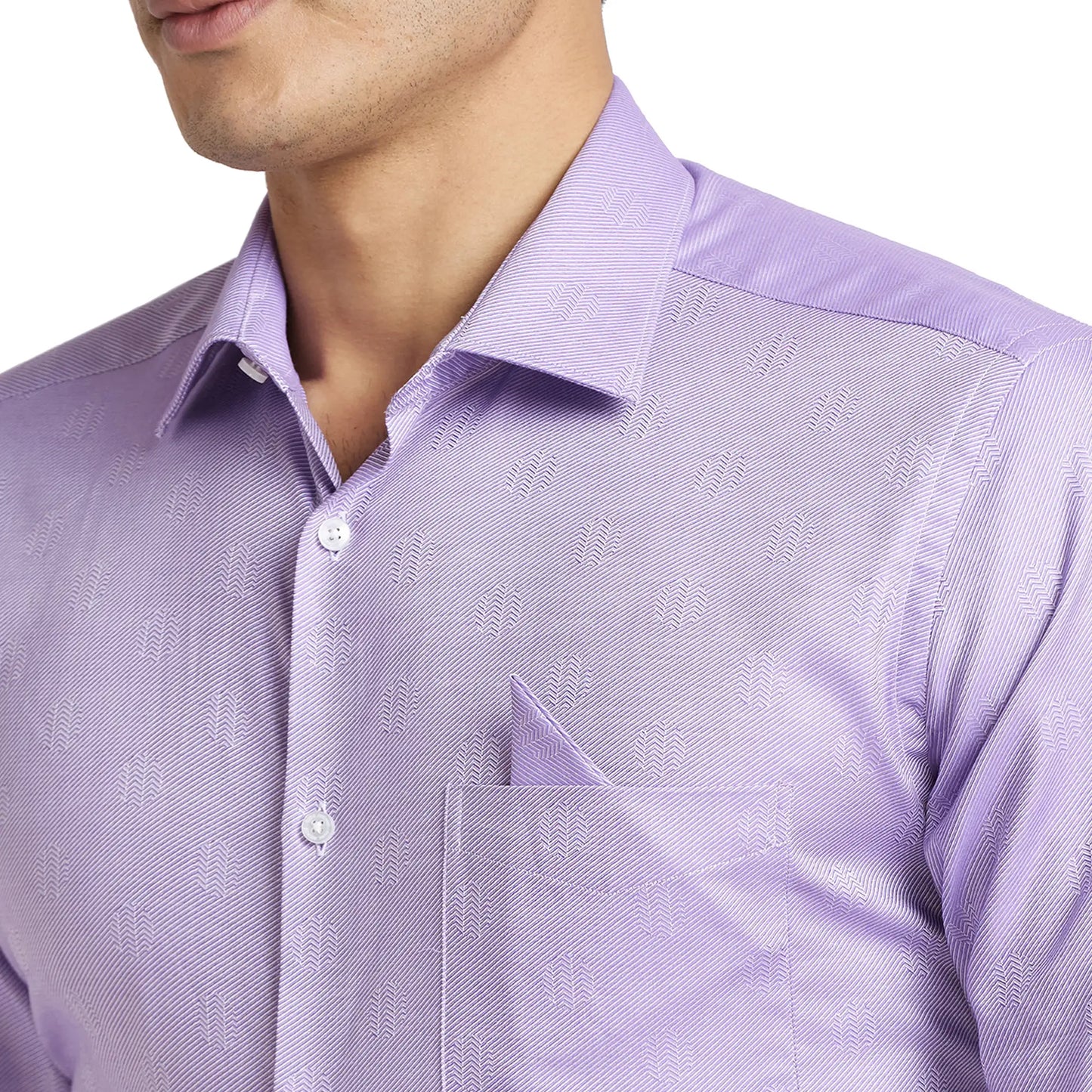 Park Avenue Men Blue Checks Regular Fit Cotton Full Sleeve Ainsley Neck Shirt