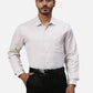 Park Avenue Regular Fit Striped Light Grey Shirt
