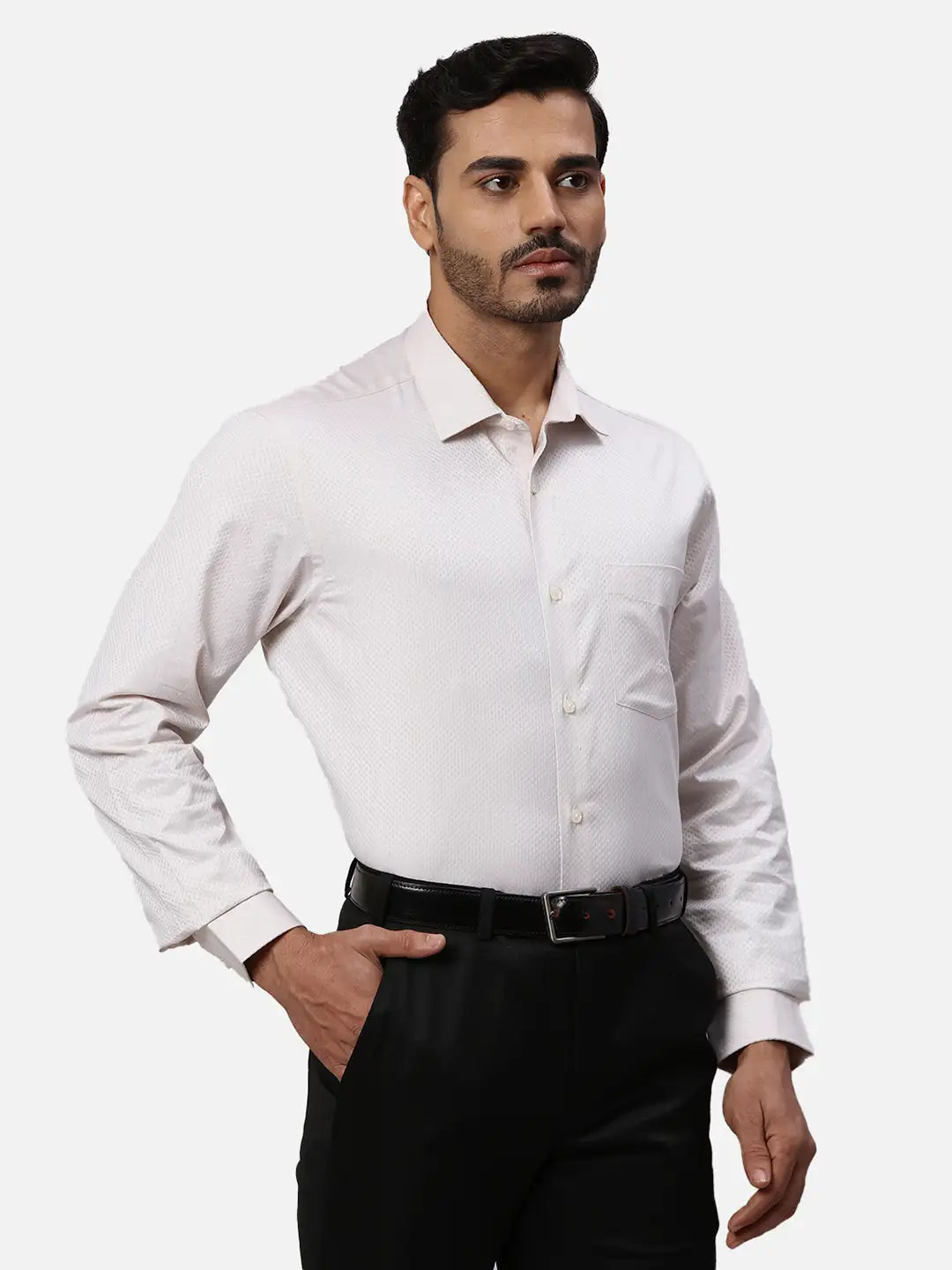 Park Avenue Regular Fit Striped Light Grey Shirt