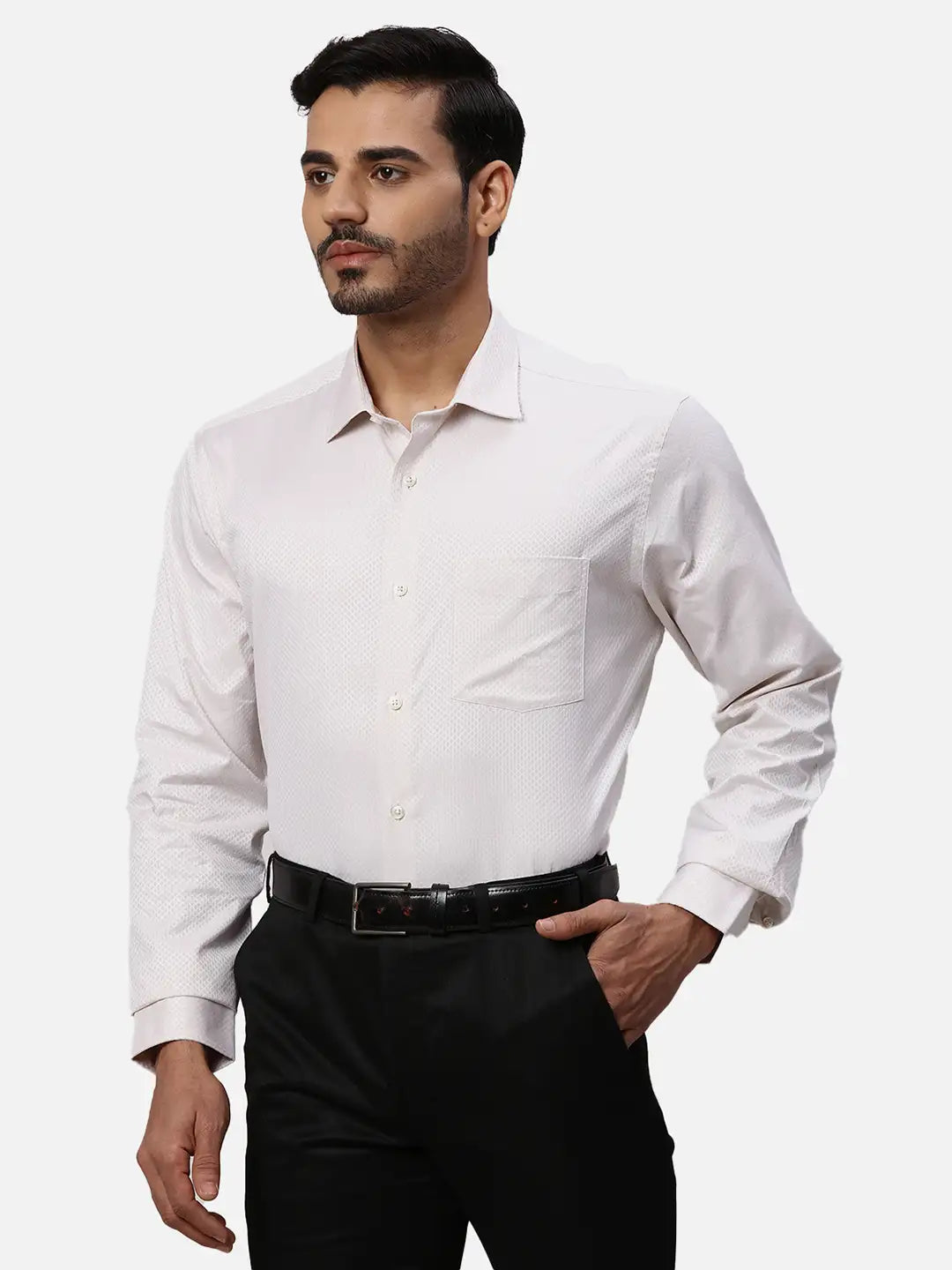Park Avenue Regular Fit Striped Light Grey Shirt
