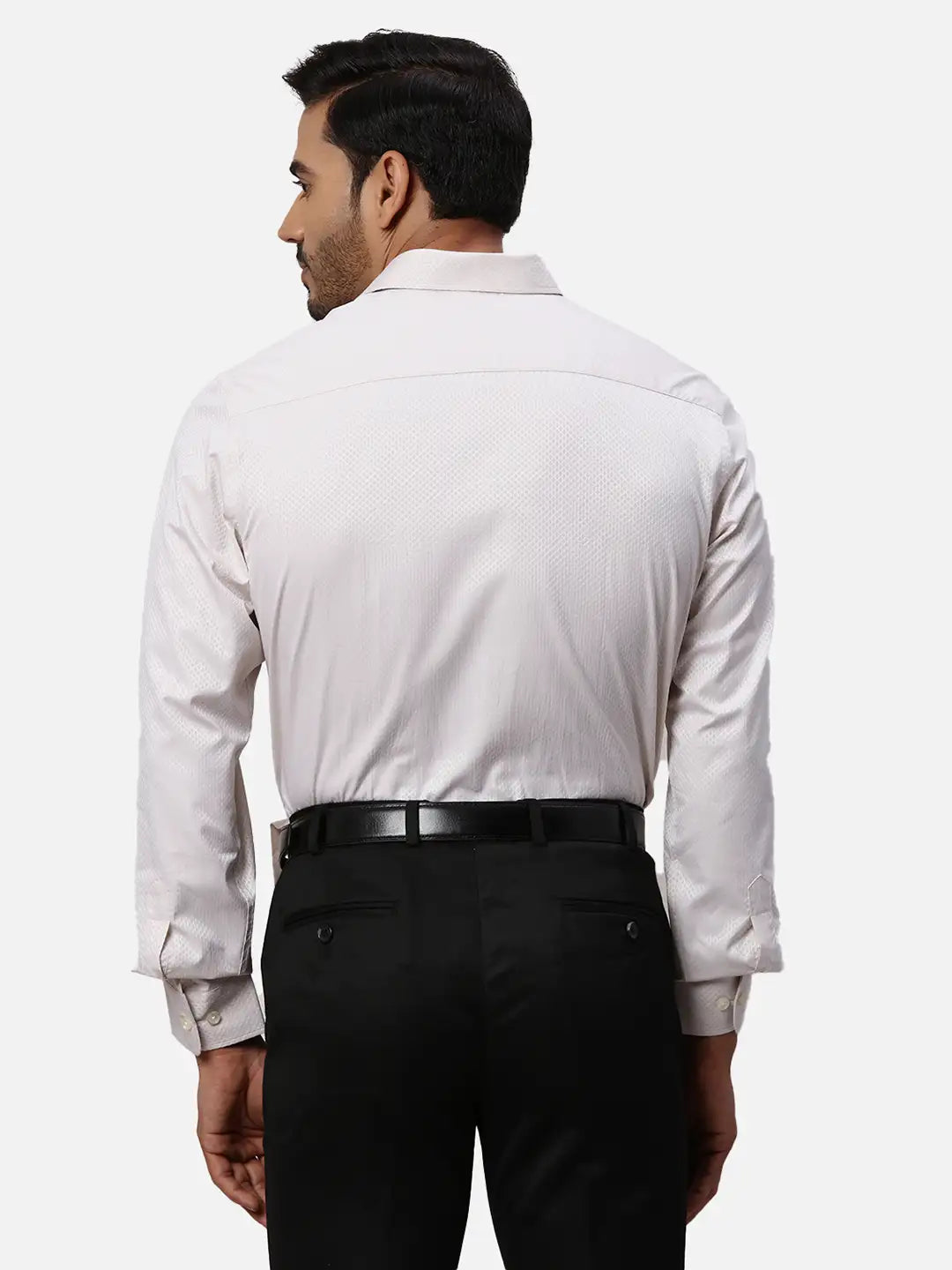 Park Avenue Regular Fit Striped Light Grey Shirt