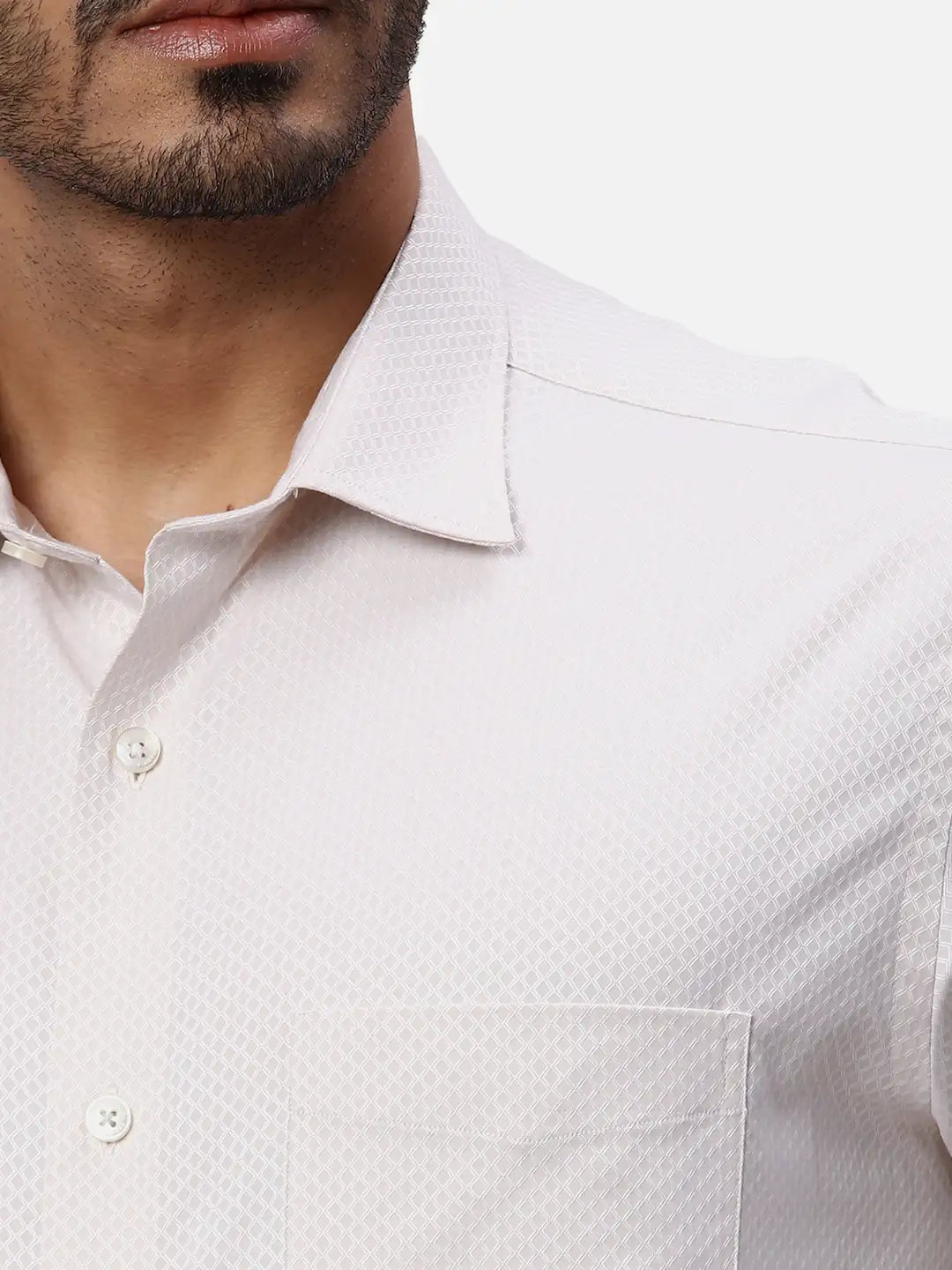 Park Avenue Regular Fit Striped Light Grey Shirt