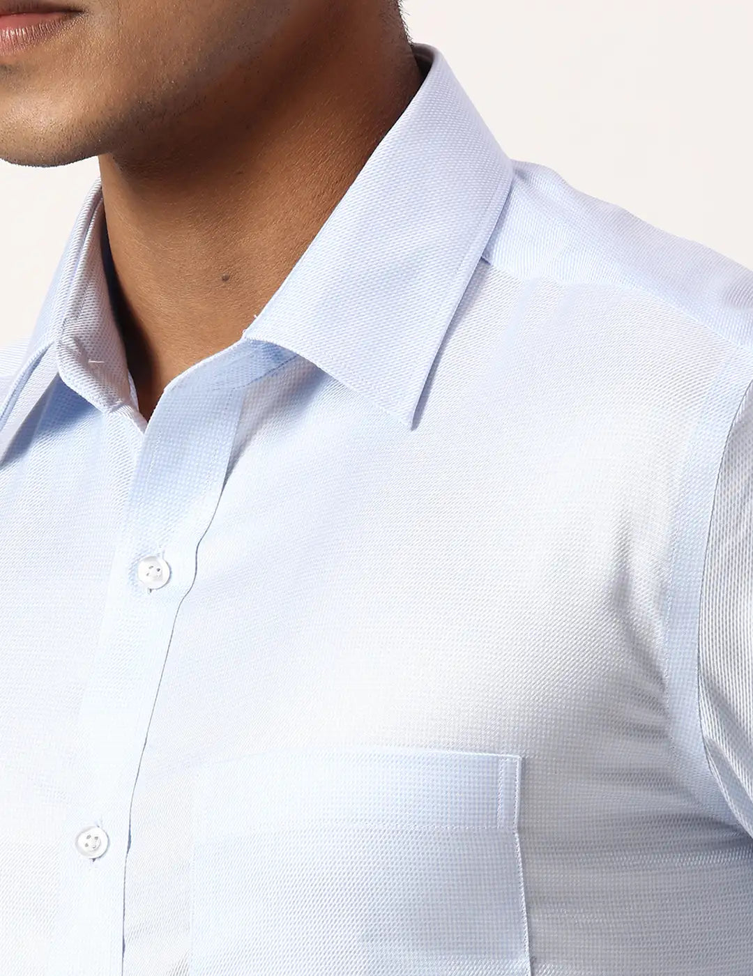 Park Avenue Regular Fit Checkered Light Blue Shirt