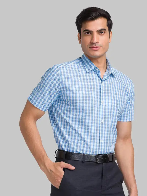 Men Regular Fit Blue Shirt