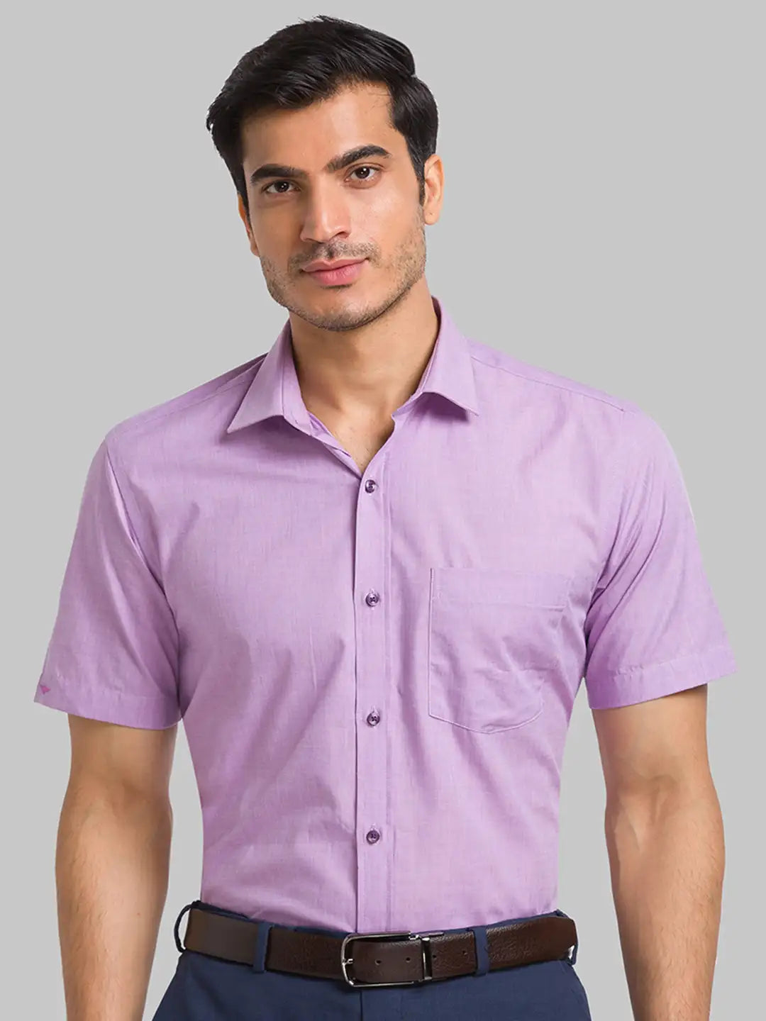 Men White Regular Fit Plain  Cotton Half Sleeve Ainsley Collar Shirts