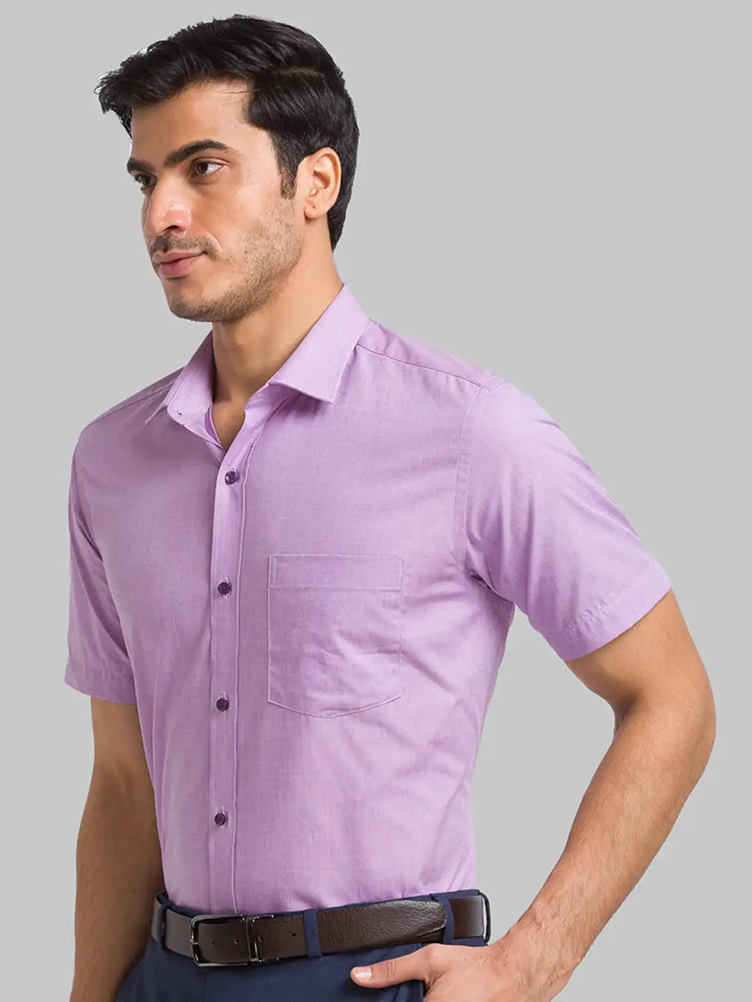 Men White Regular Fit Plain  Cotton Half Sleeve Ainsley Collar Shirts