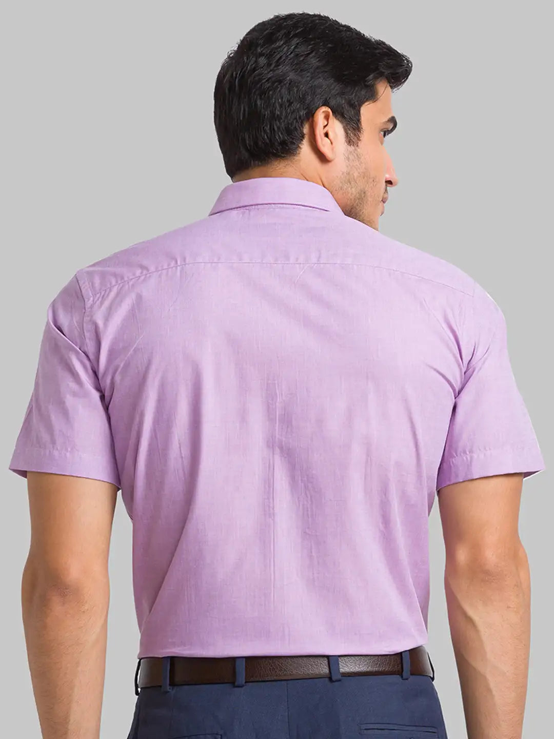 Men White Regular Fit Plain  Cotton Half Sleeve Ainsley Collar Shirts