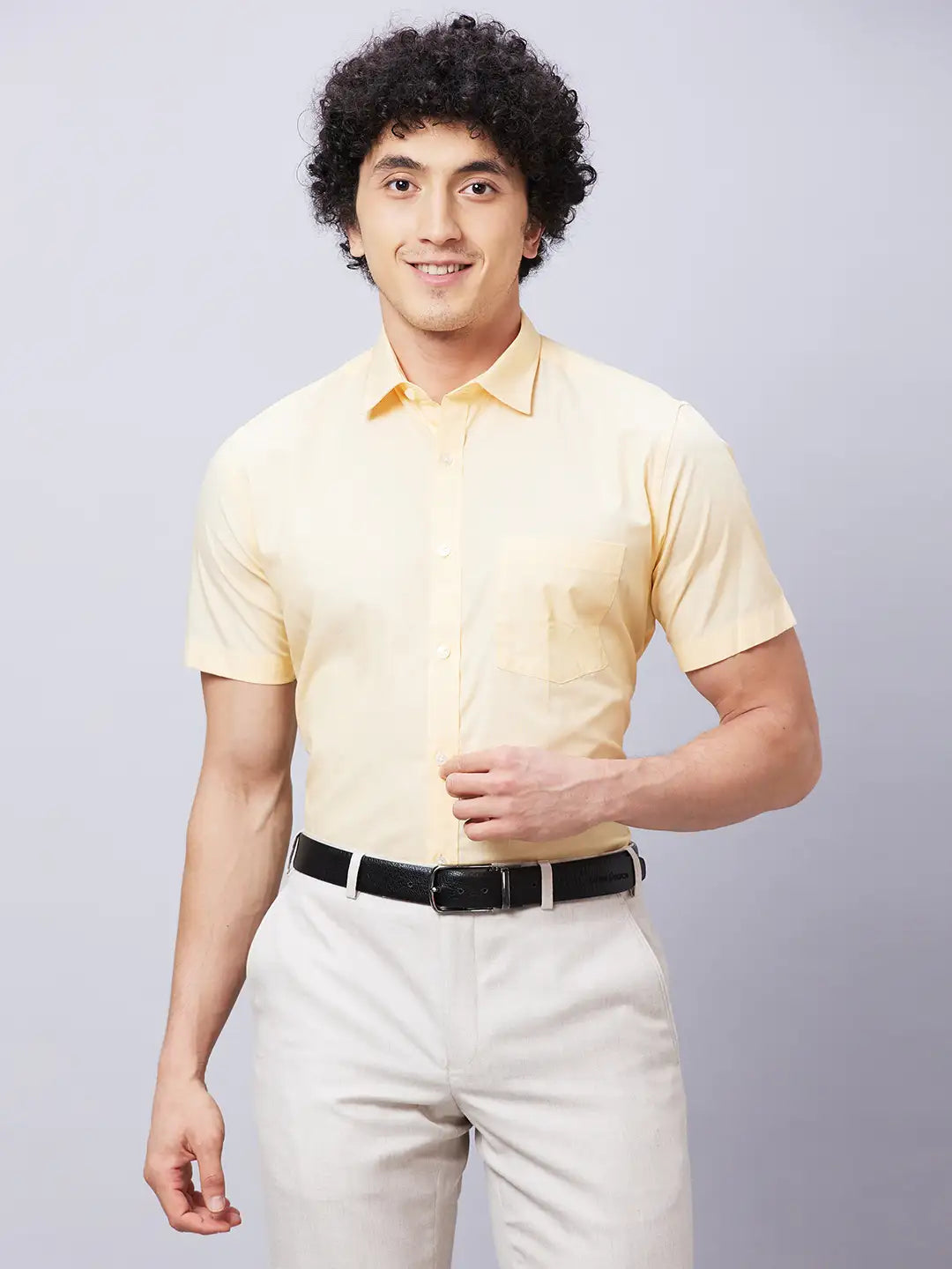 park avenue Men Fawn Structure Slim Fit Cotton Shirts