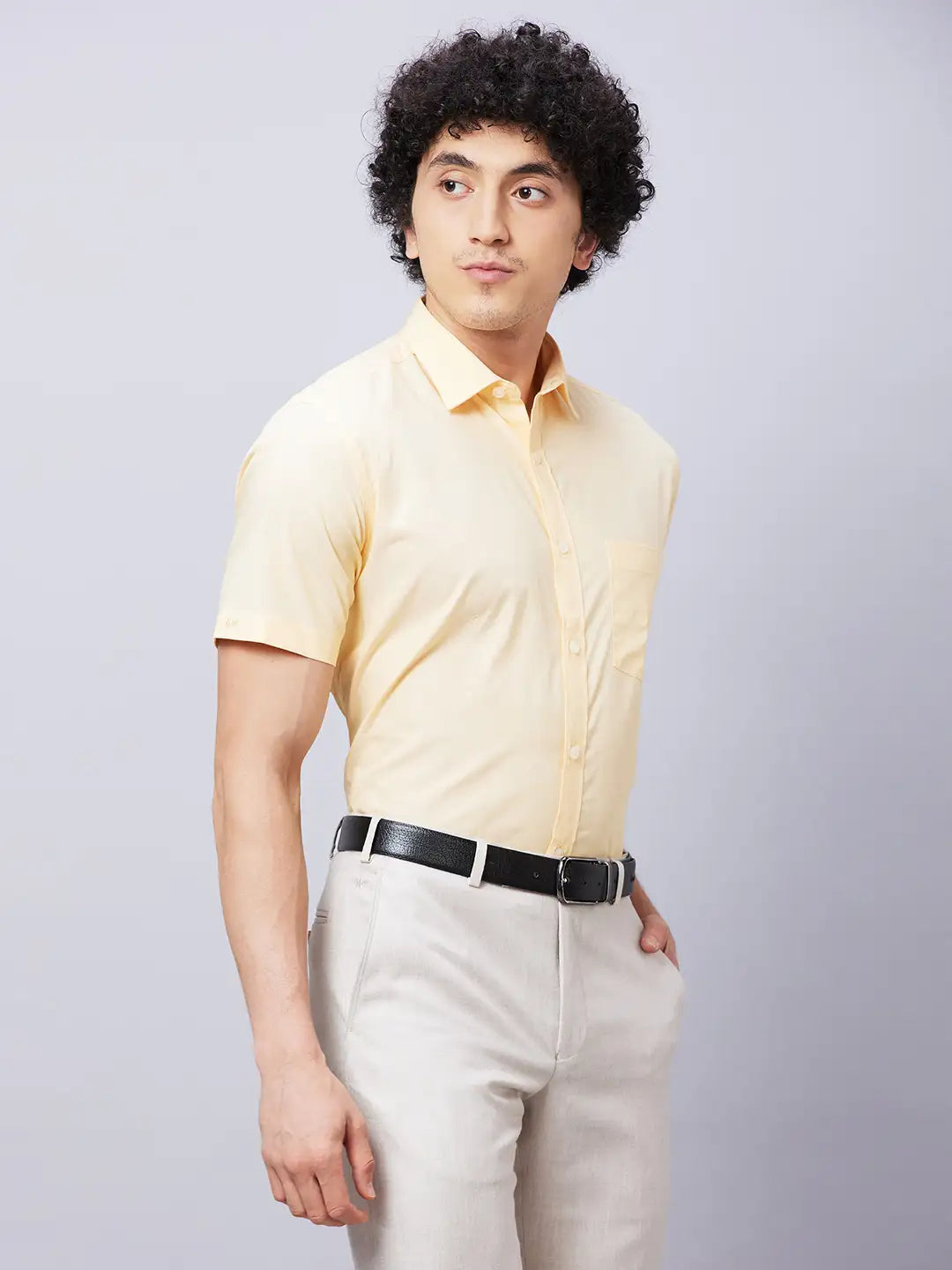 park avenue Men Fawn Structure Slim Fit Cotton Shirts
