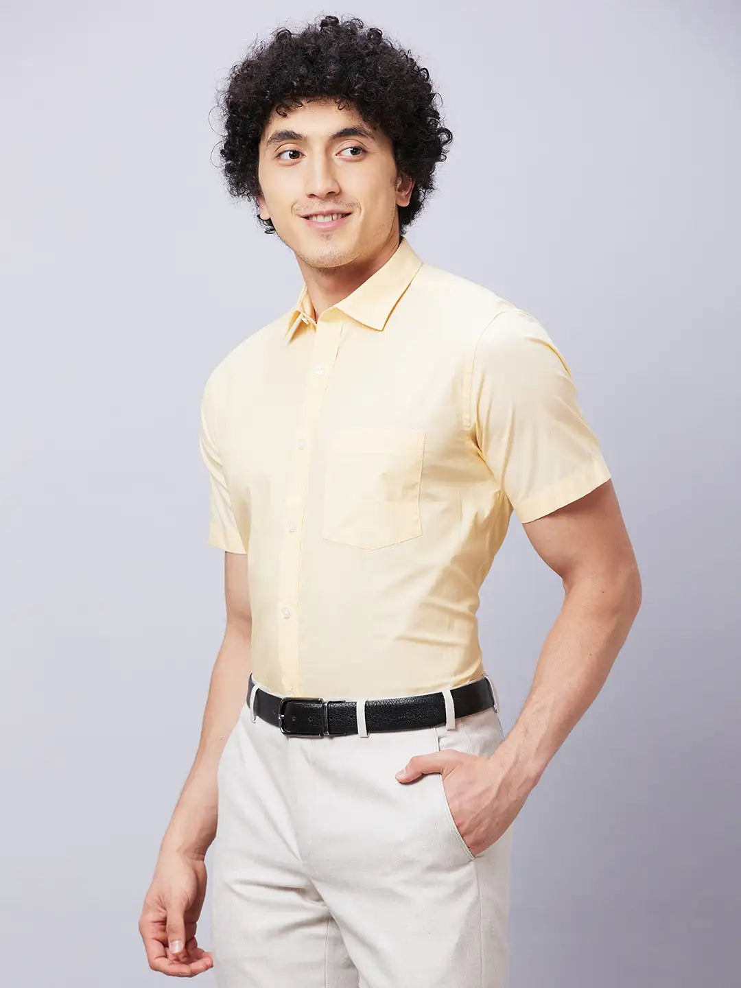 park avenue Men Fawn Structure Slim Fit Cotton Shirts