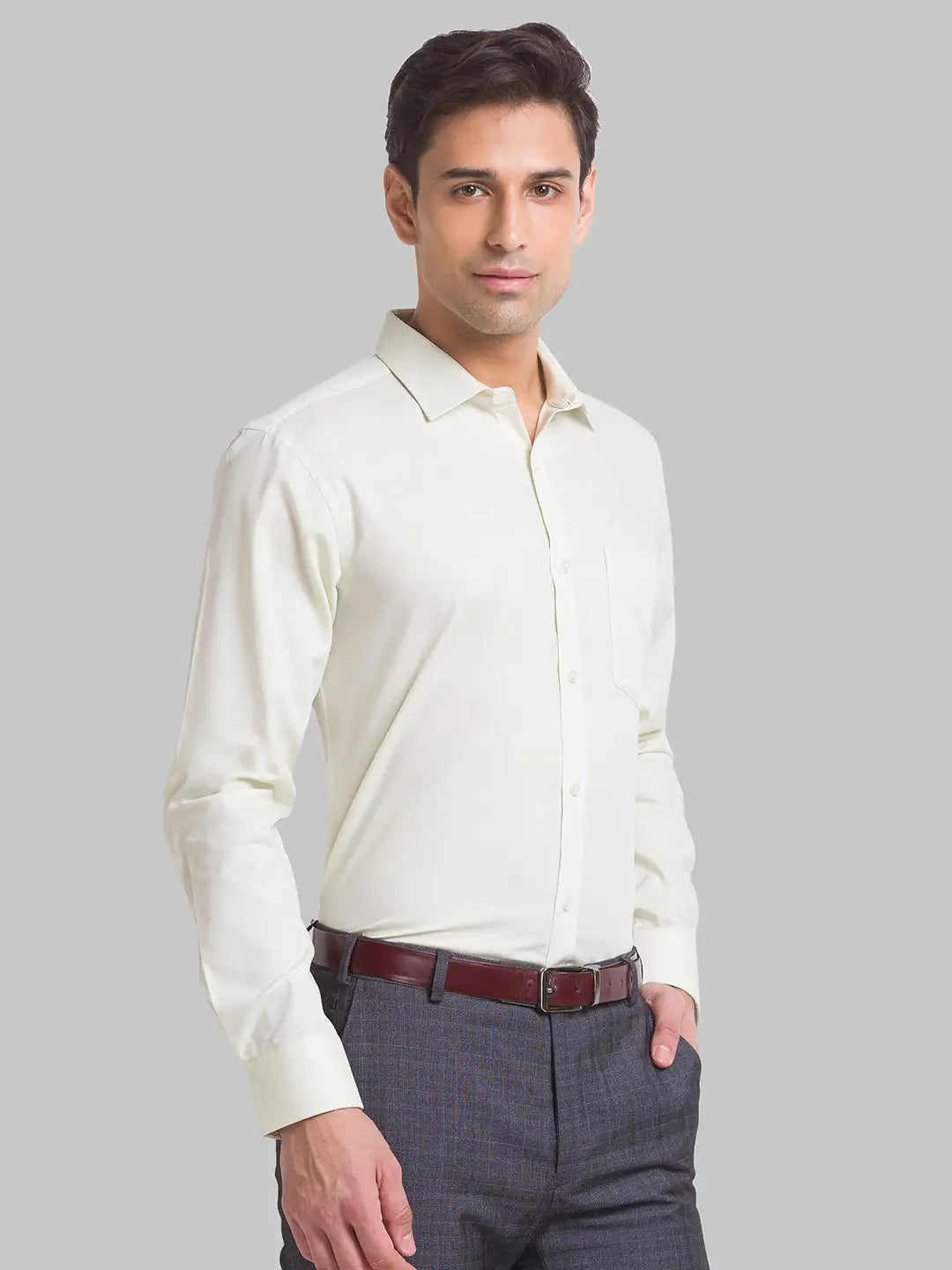 Men Slim Fit Light Violet Shirt