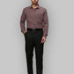 Men Slim Fit Fawn Shirt