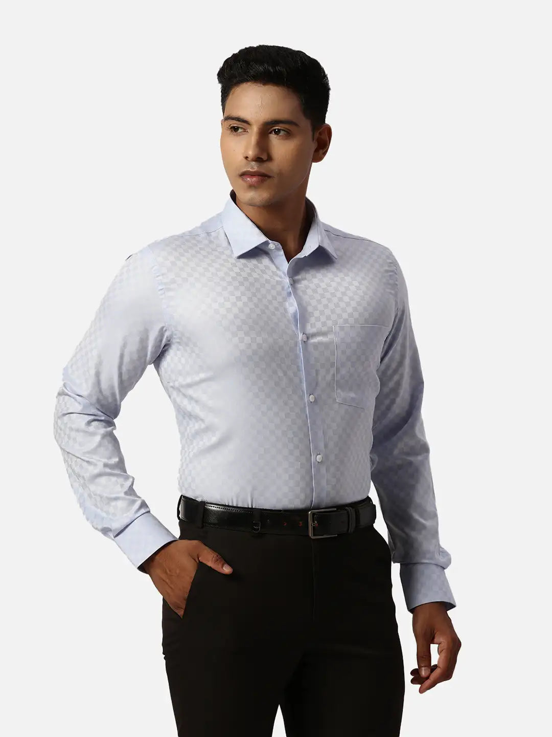 Park Avenue Slim Fit Self Design Medium Violet Shirt