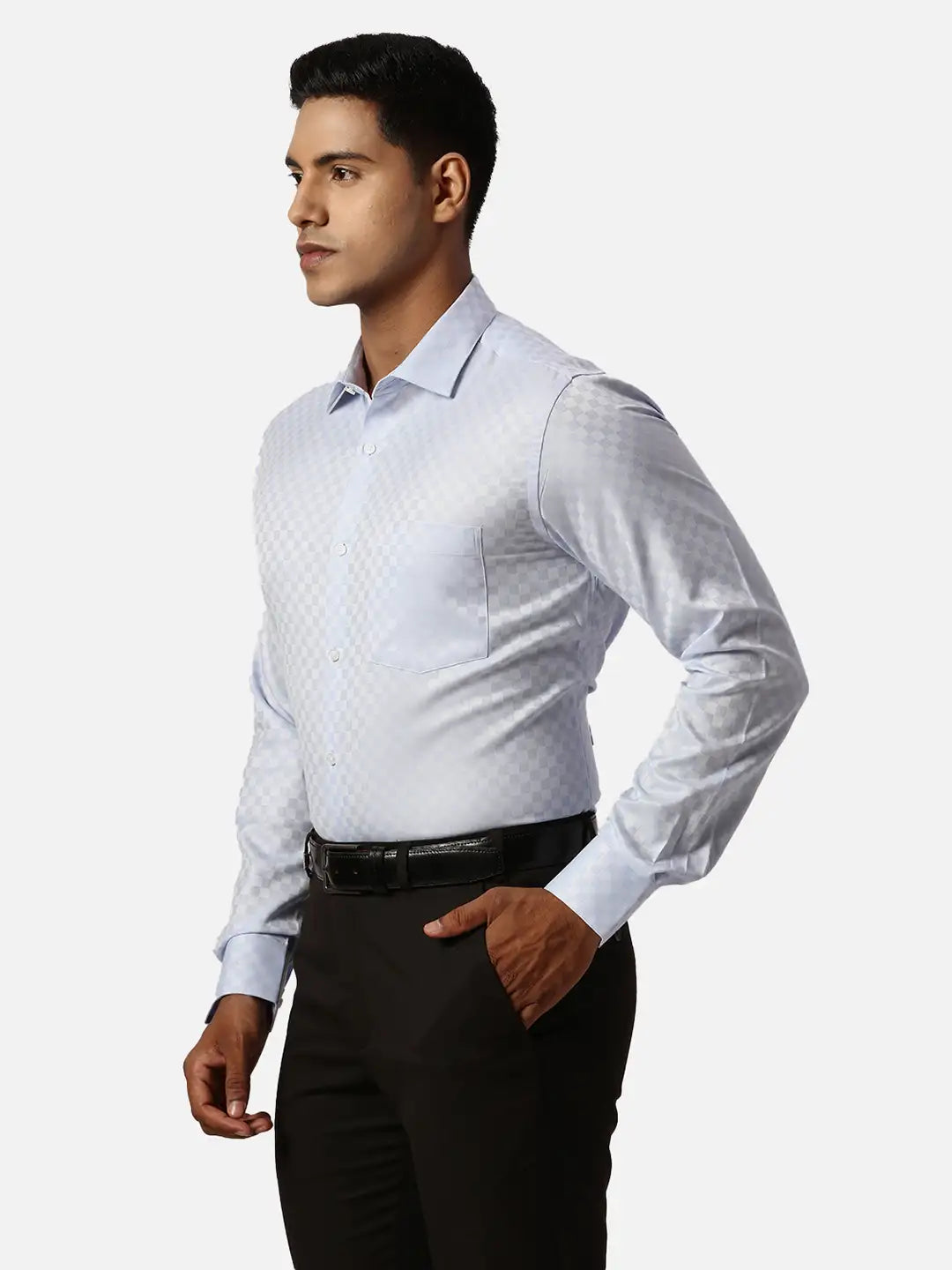 Park Avenue Slim Fit Self Design Medium Violet Shirt