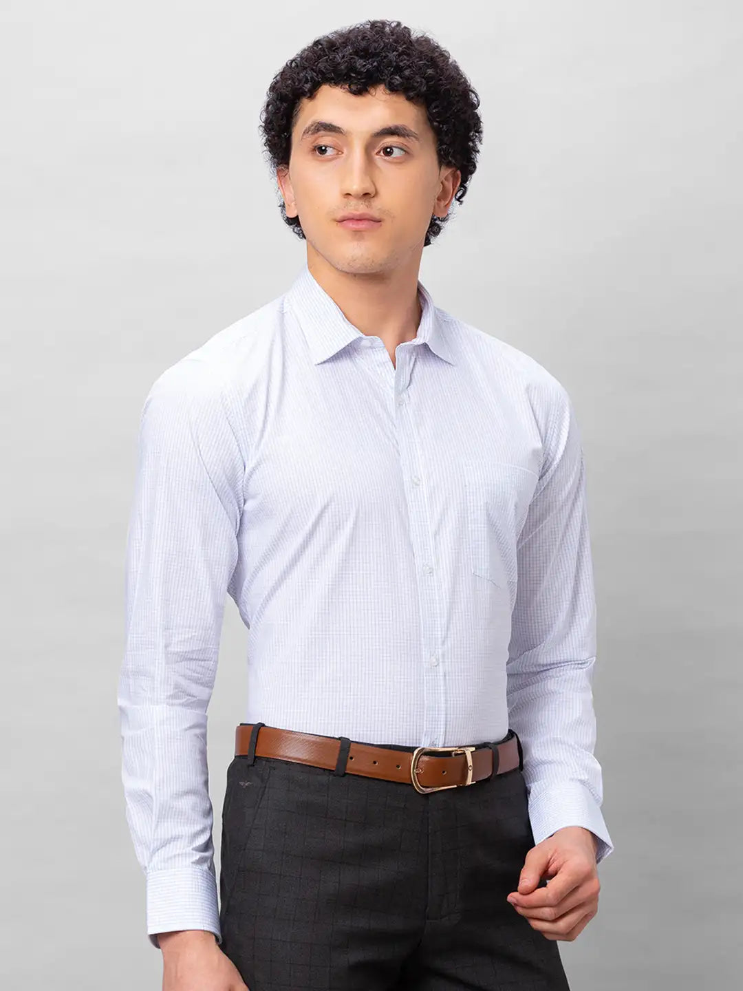 Park Avenue Men Blue Stripe Slim Fit Cotton Shirts