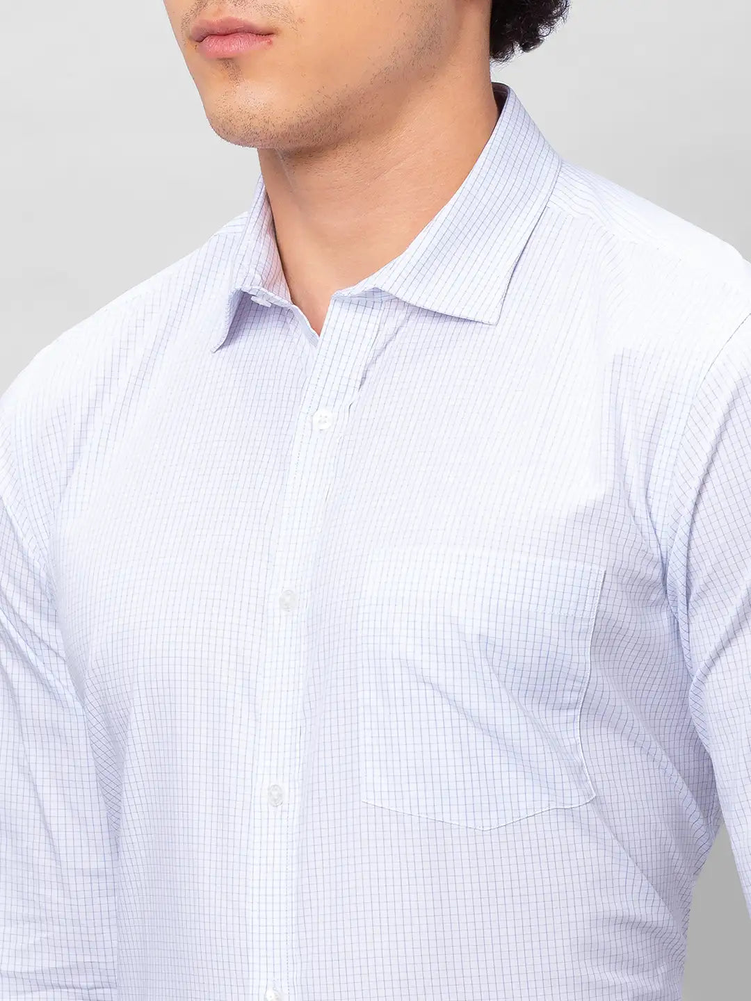Park Avenue Men Blue Stripe Slim Fit Cotton Shirts