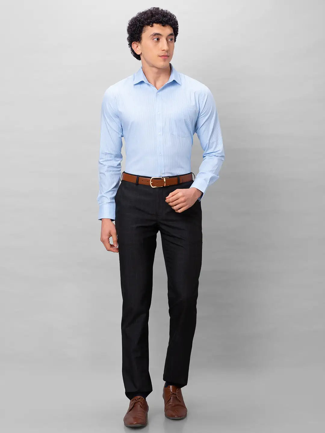 Park Avenue Men Blue Checks Slim Fit Cotton Shirts