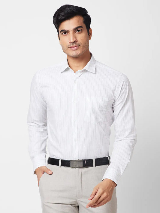 Park Avenue Men Blue Stripe Slim Fit Cotton Shirt