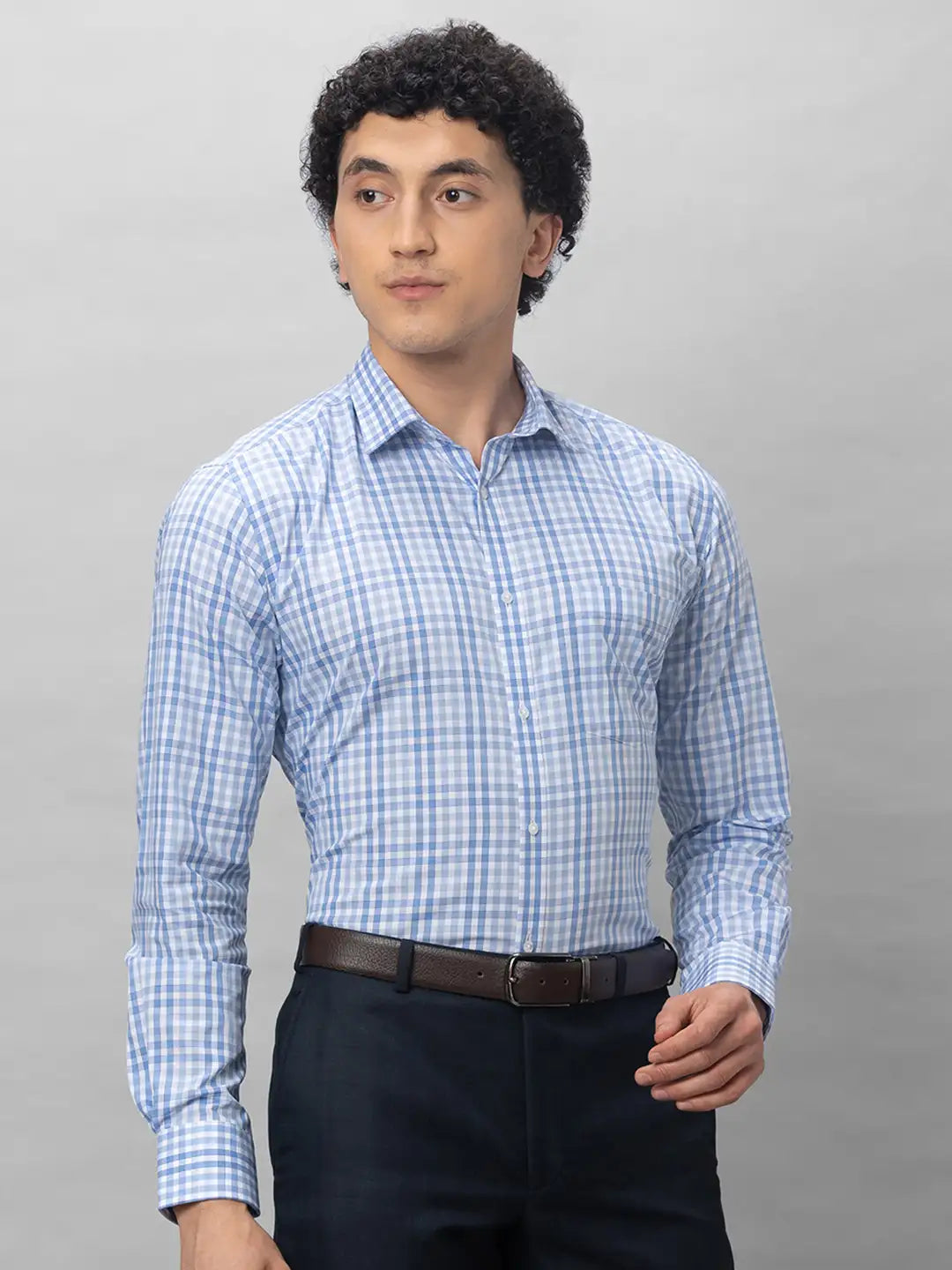 Park Avenue Men Blue Checks Slim Fit Cotton Shirts