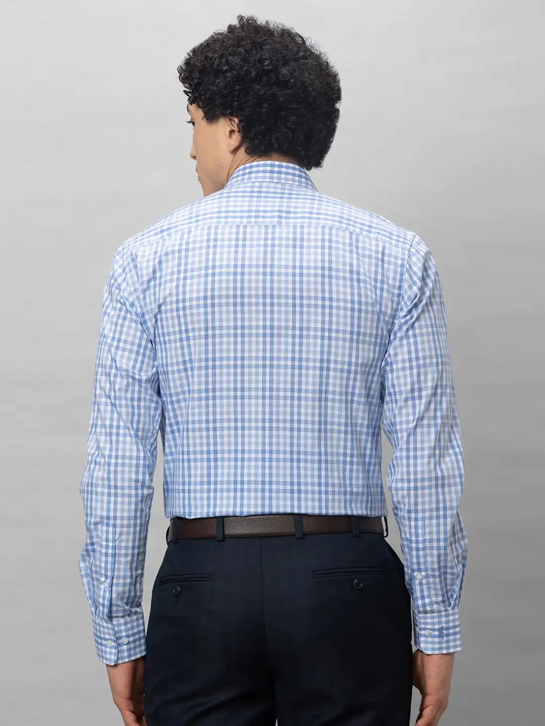 Park Avenue Men Blue Checks Slim Fit Cotton Shirts