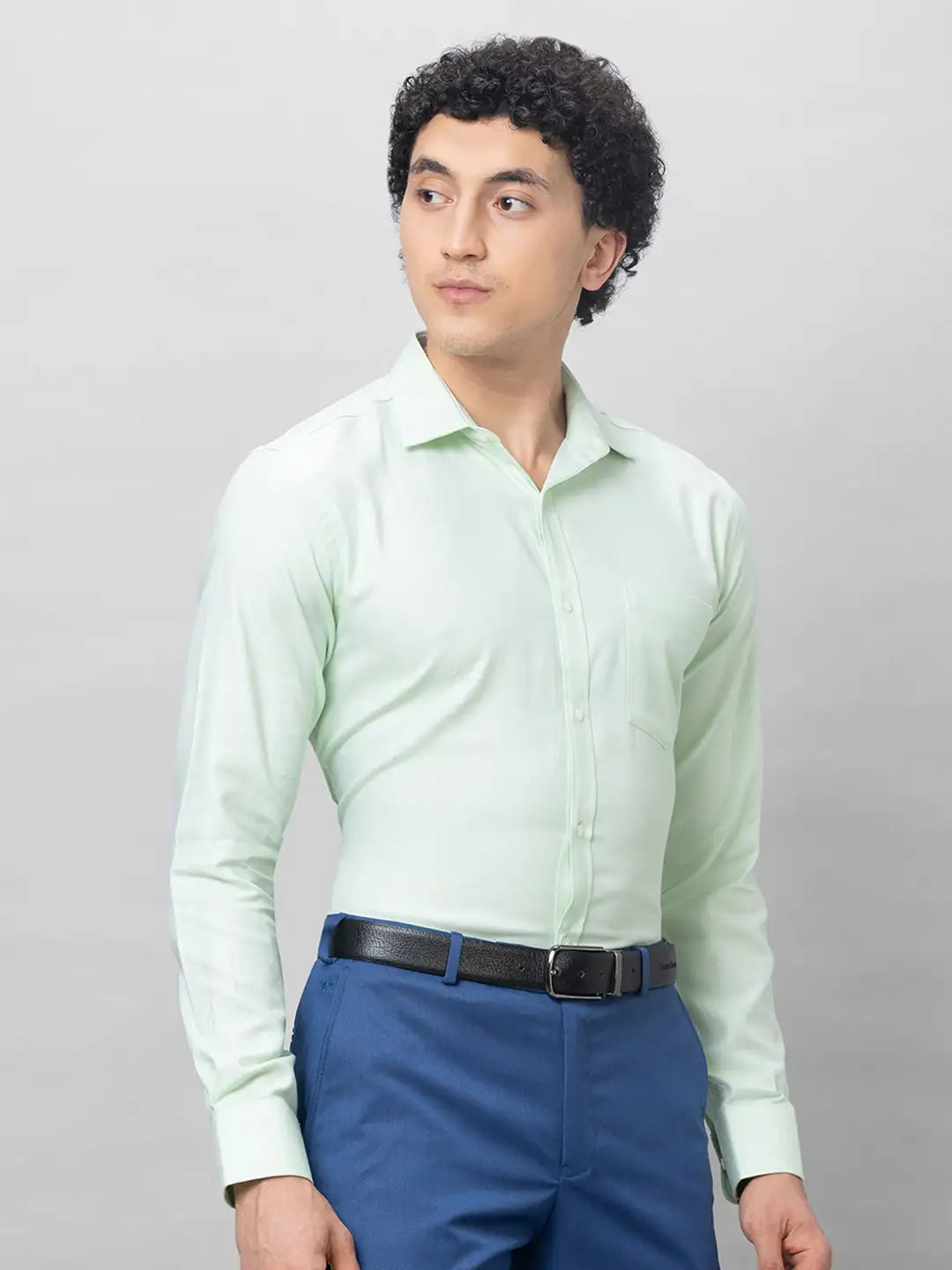 Park Avenue Men Violet Structure Slim Fit Cotton Shirts