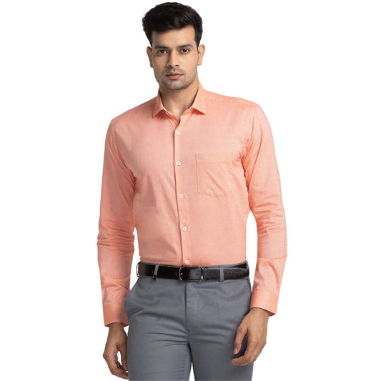 Men Regular Fit Light Blue Chinos