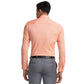 Men Regular Fit Light Blue Chinos
