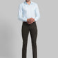 Men Regular Fit Blue Chinos & Trouser