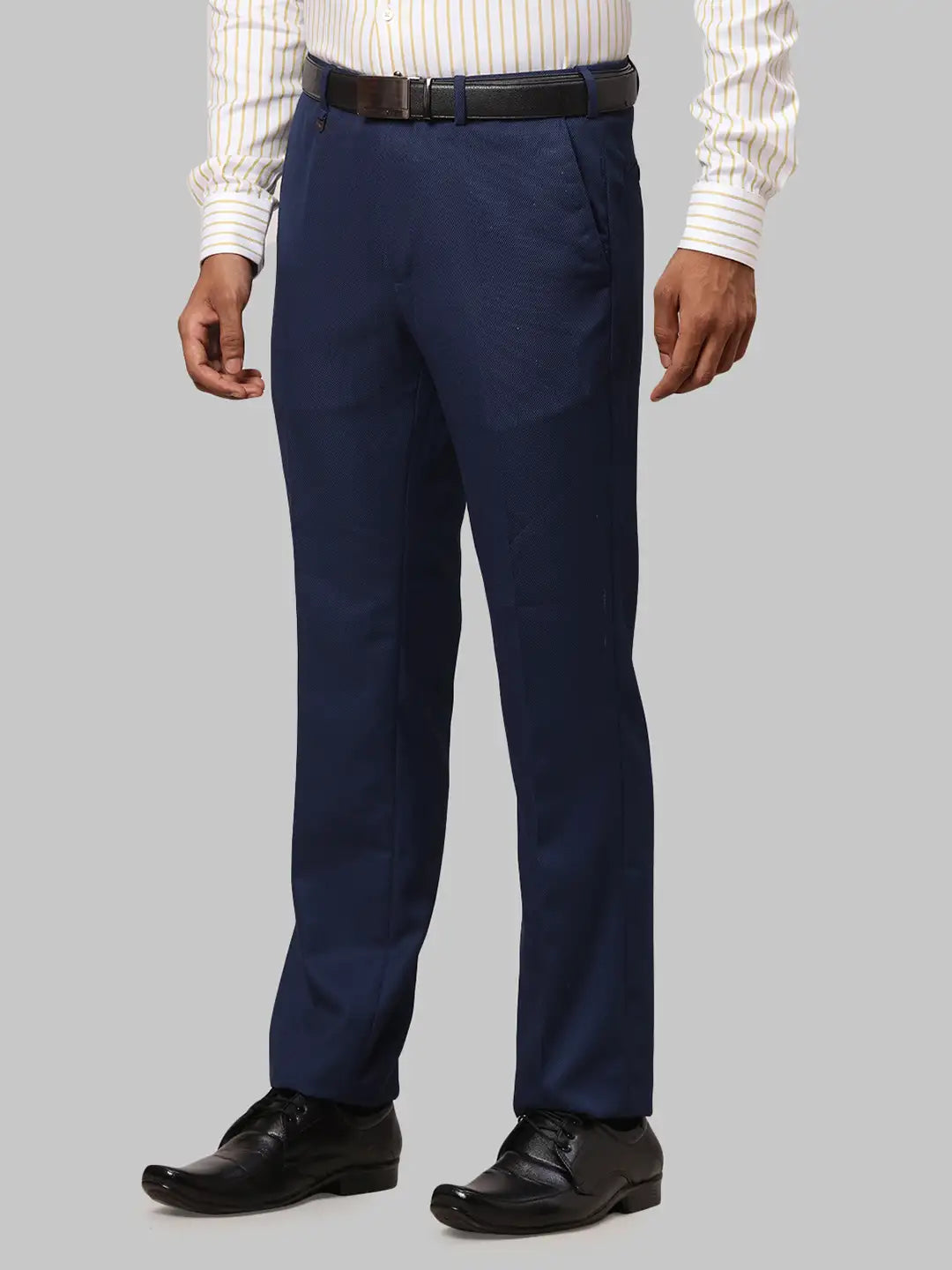Men Regular Fit Blue Trouser