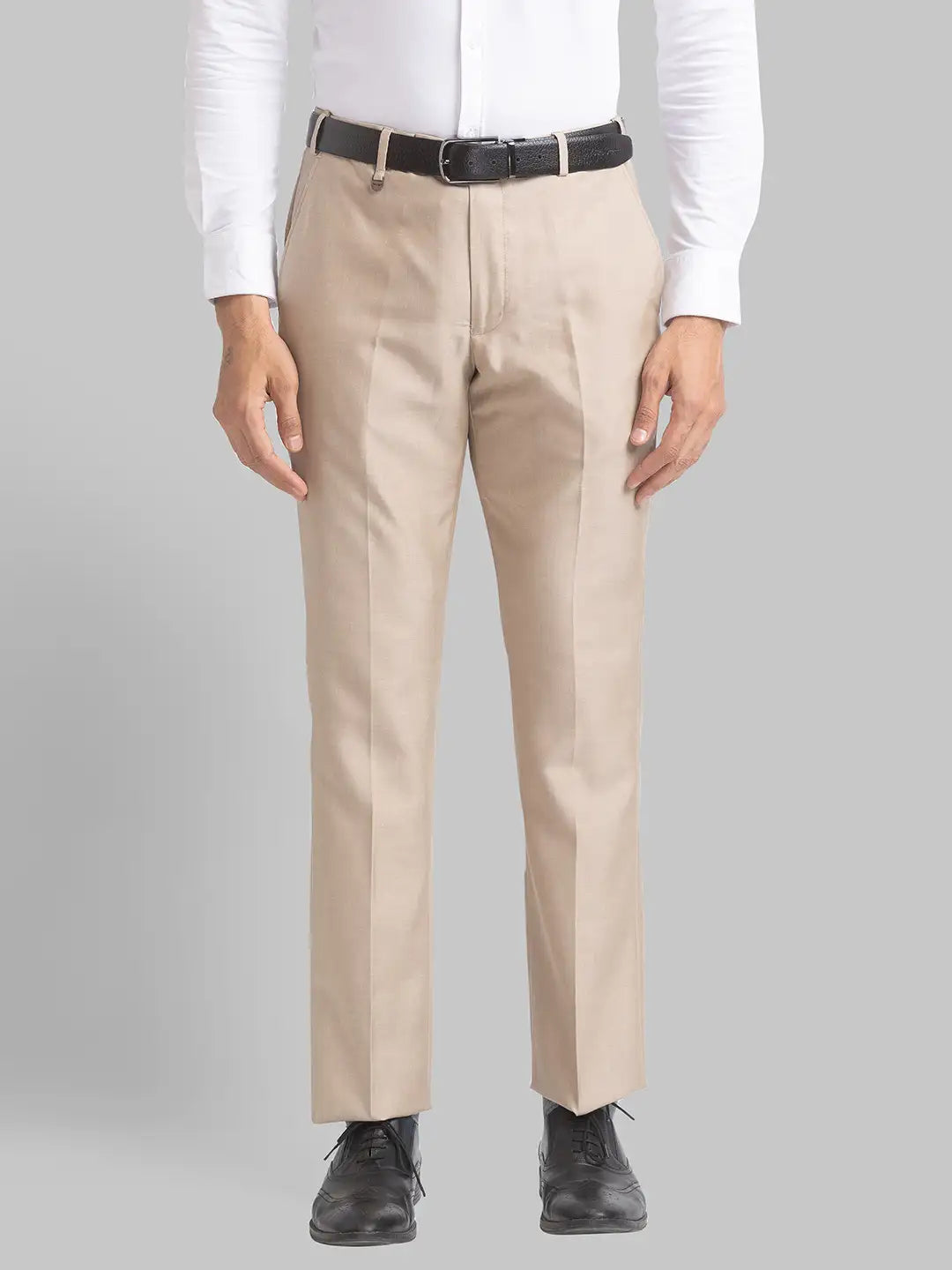 Men Regular Fit Medium Grey Trouser