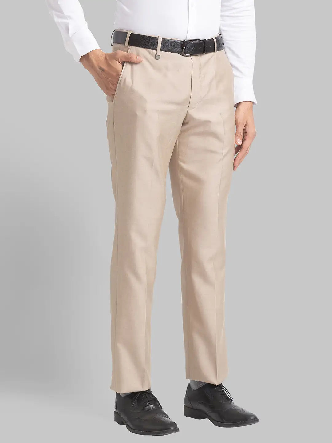 Men Regular Fit Medium Grey Trouser
