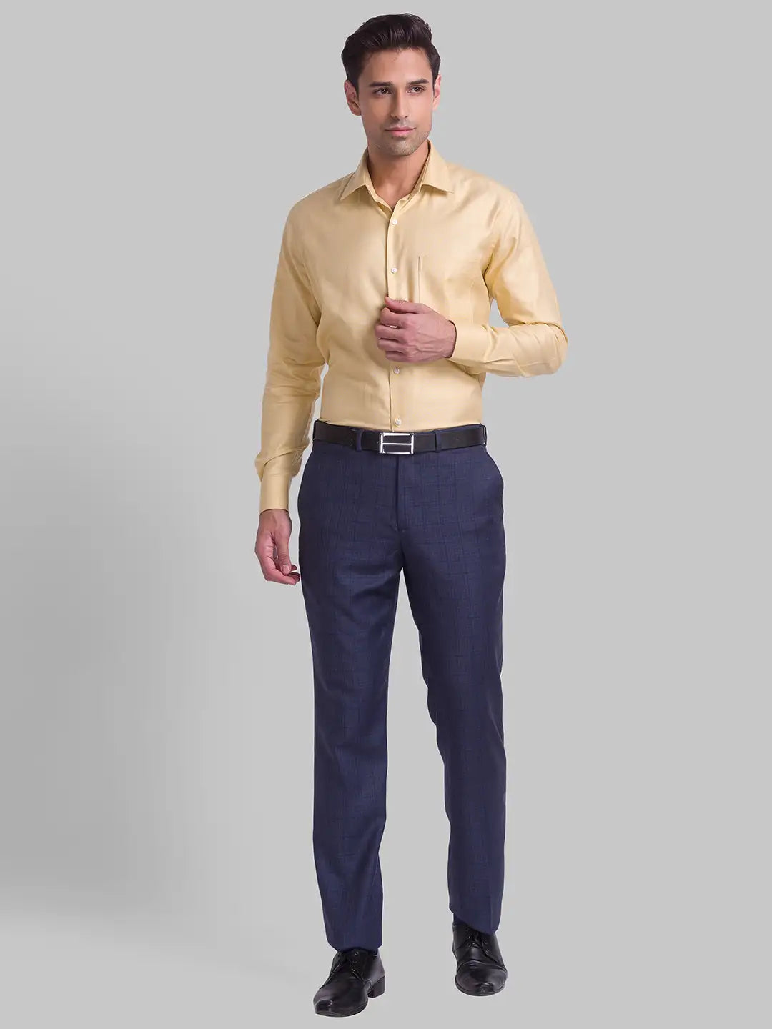 Men Regular Fit Grey Chinos & Trouser