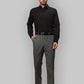 Men Smart Fit Brown Trouser
