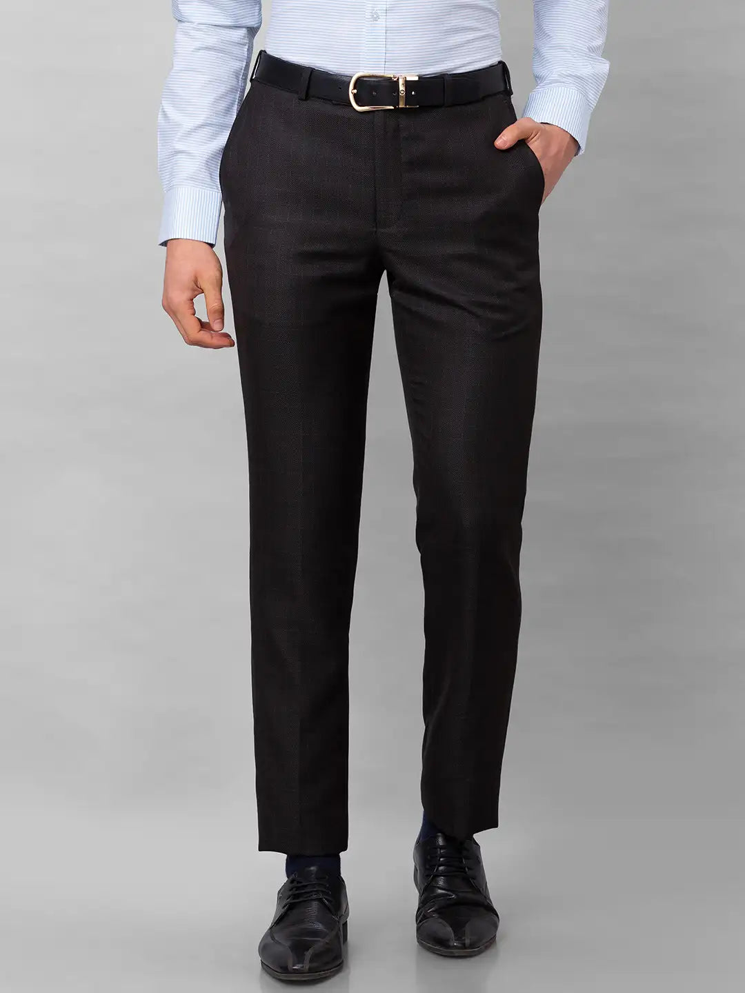 Park Avenue Men Blue Stripe Smart Fit Polyester Blend Trousers