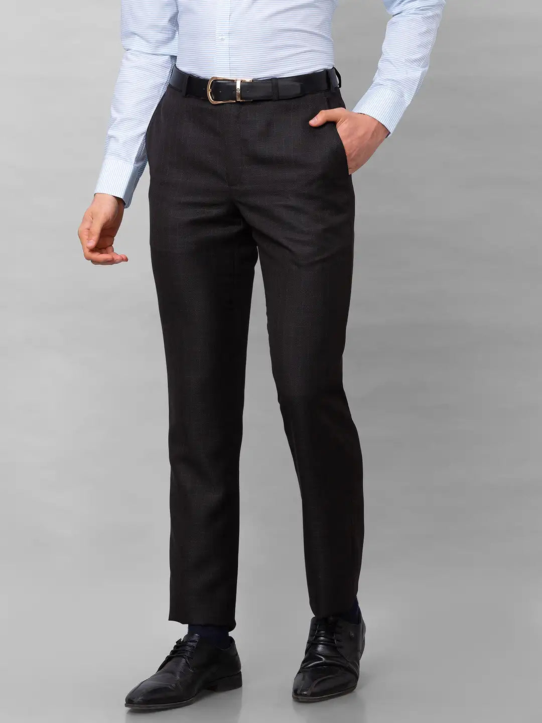 Park Avenue Men Blue Stripe Smart Fit Polyester Blend Trousers
