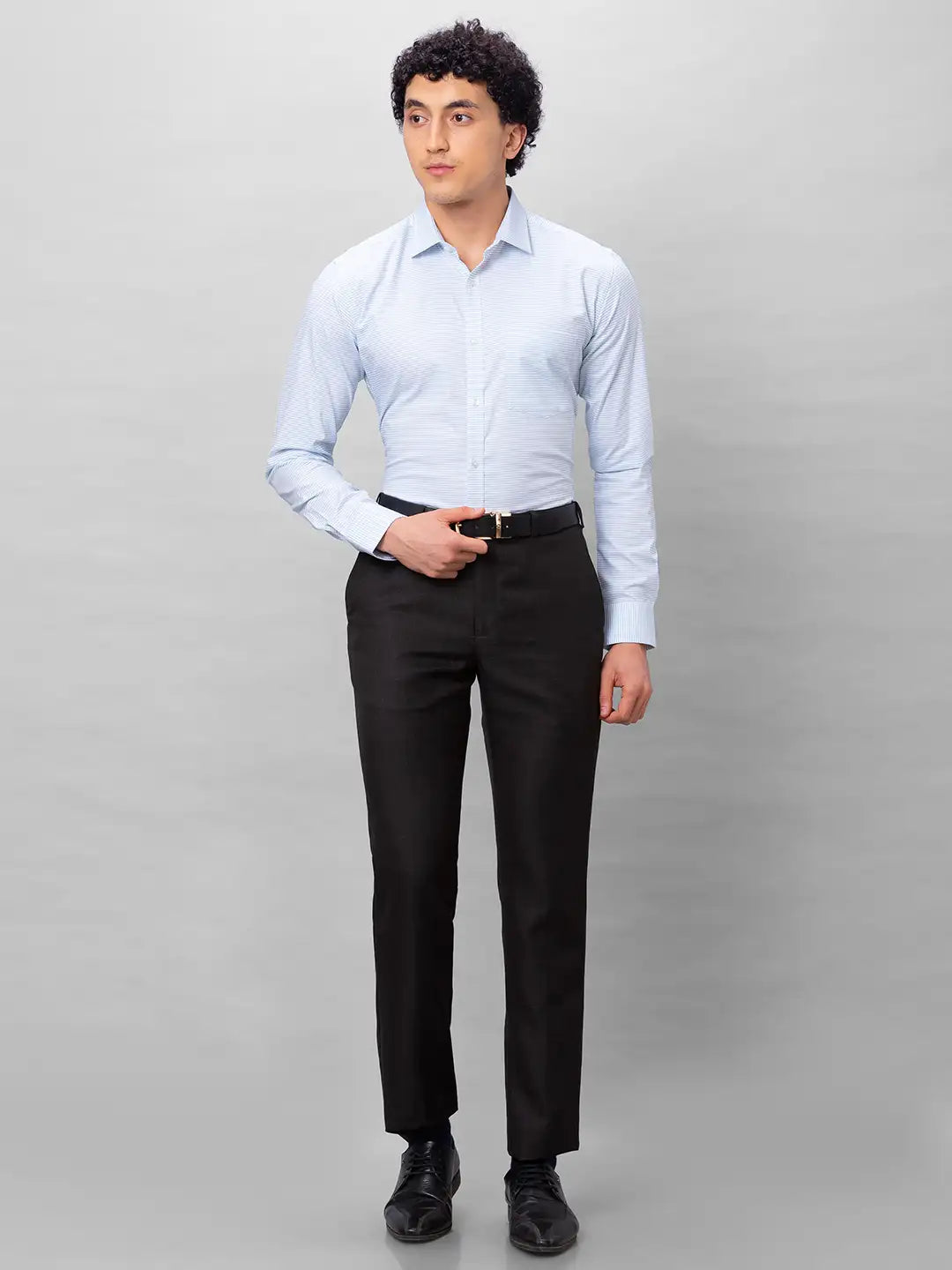 Park Avenue Men Blue Stripe Smart Fit Polyester Blend Trousers