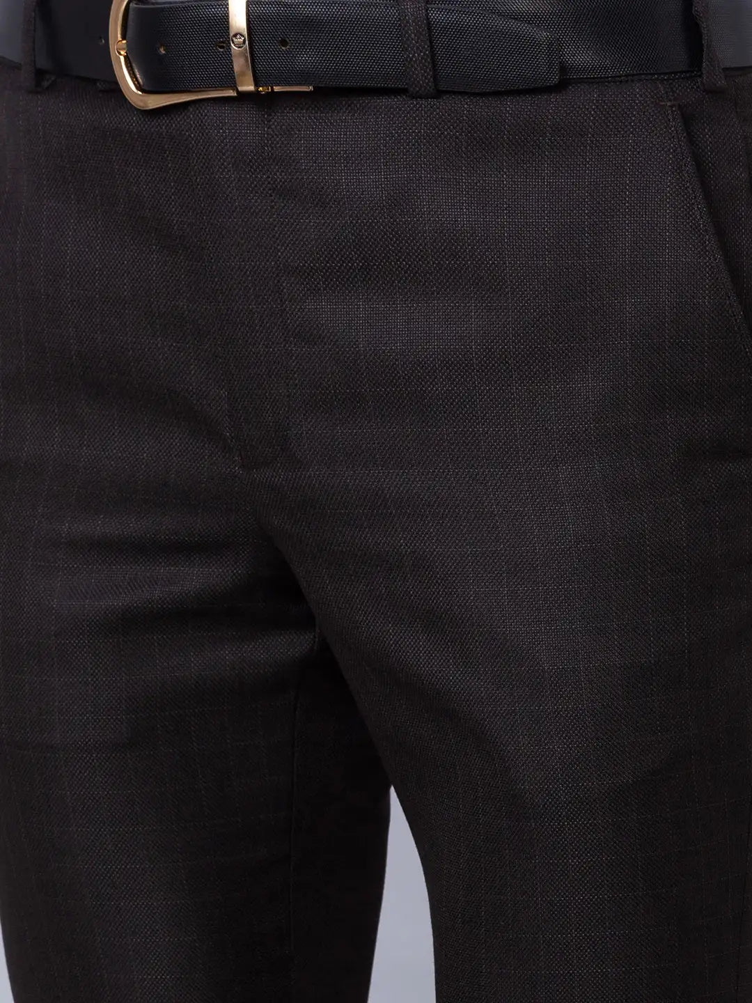 Park Avenue Men Blue Stripe Smart Fit Polyester Blend Trousers