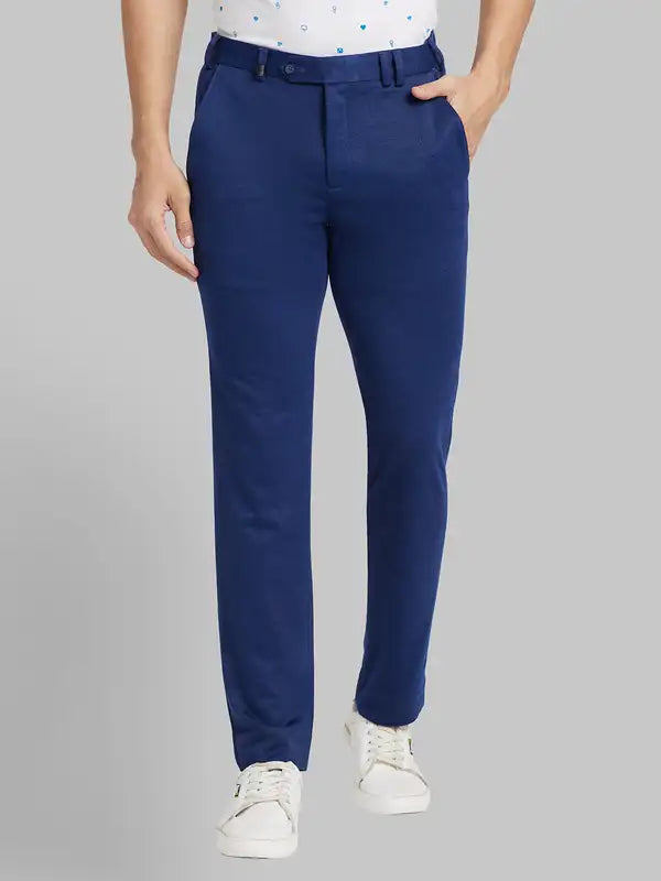 Men Regular Fit Blue Trouser